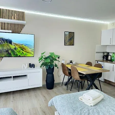 2- Zimmerwohnung In Centrum Fuer 4person アパート *